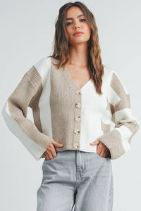 Color Block Button Down Cardigan