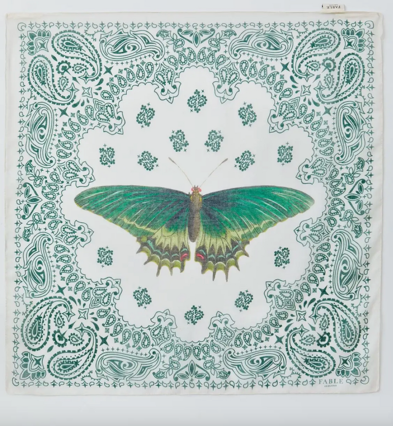 Paisley Butterfly Scarf - Lark & Lily Boutique